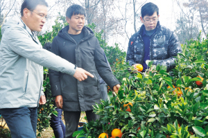 default.jpg default.jpg